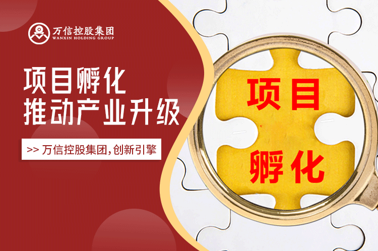 创新引擎：万信控股集团创新引擎如何通过项目孵化推动产业升级